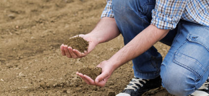 kwaśna gleba w rękach rolnika - grafika wpisu